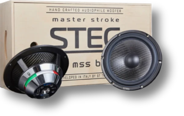 MSS 6